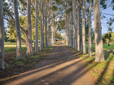 39 Kings Row, Baskerville WA 6056