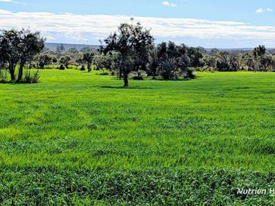 Lot 9818 Telephone Road, Neergabby WA 6503