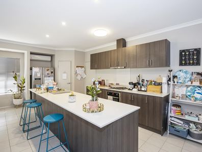 14 Mercado Way, Alkimos WA 6038
