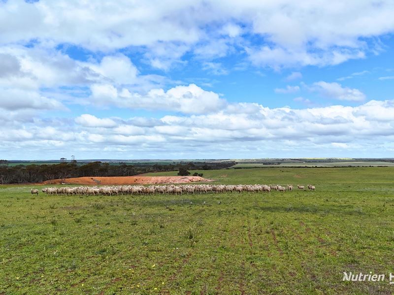 Lot 1 Calzoni Road, Woolocutty