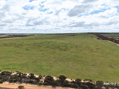 Lot 1 Calzoni Road, Woolocutty WA 6369