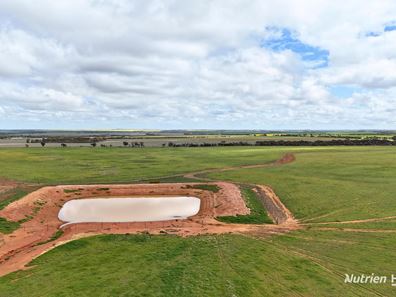 Lot 1 Calzoni Road, Woolocutty WA 6369