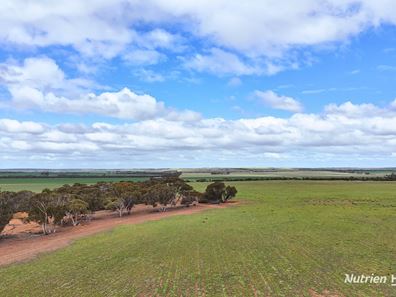 Lot 1 Calzoni Road, Woolocutty WA 6369