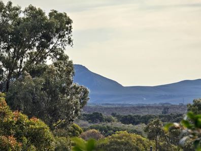 81 Cambewarra Drive, Hopetoun WA 6348