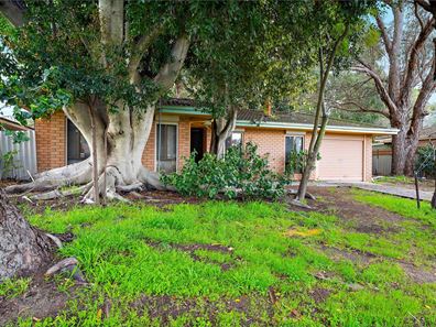 48 Townley Street, Armadale WA 6112