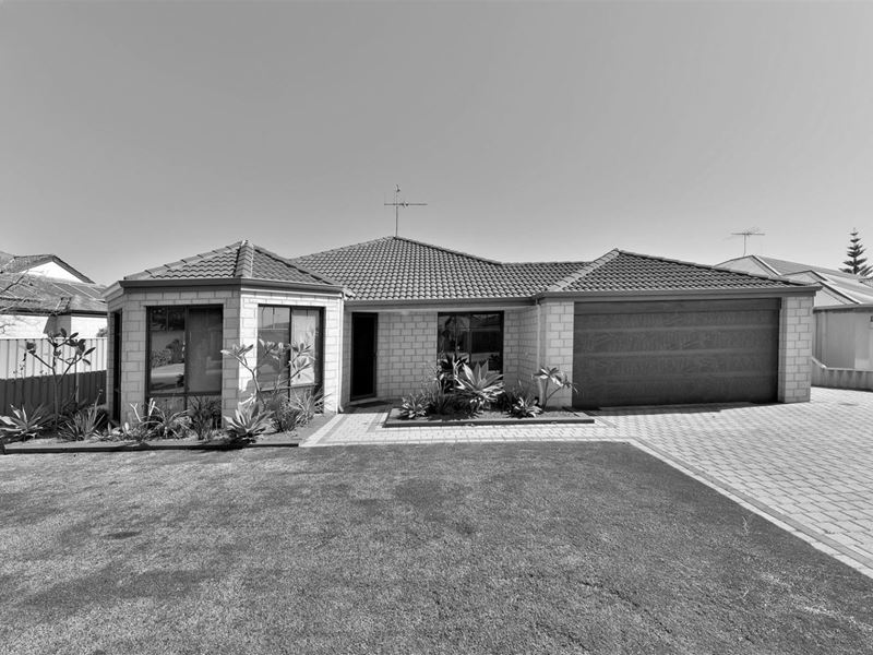 17 Enterprise Ave, Falcon