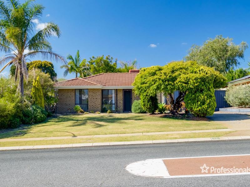 11 Whitcombe Way, Alexander Heights WA 6064