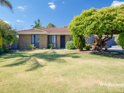 11 Whitcombe Way, Alexander Heights WA 6064