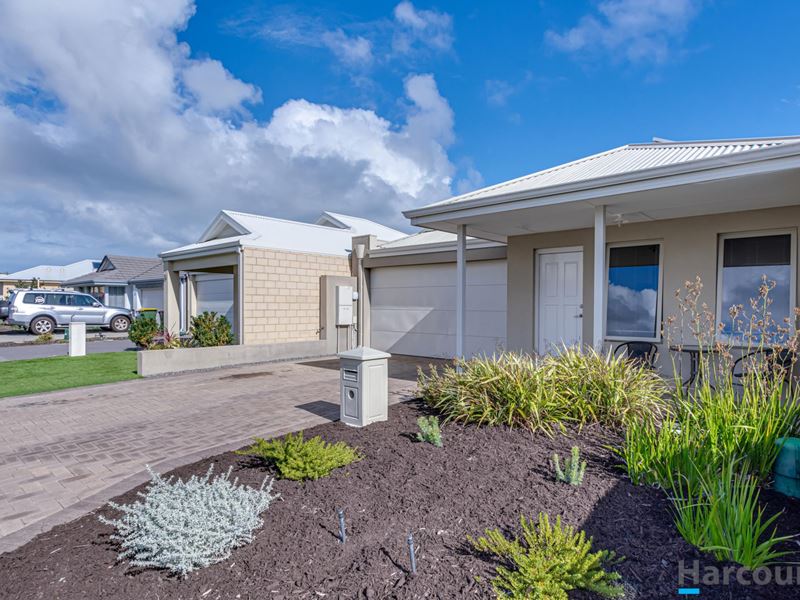 16 Needletail Avenue, Alkimos