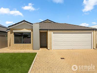 10 Elsinge Link, Baldivis WA 6171