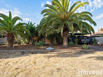 11 Damon Street, Singleton WA 6175