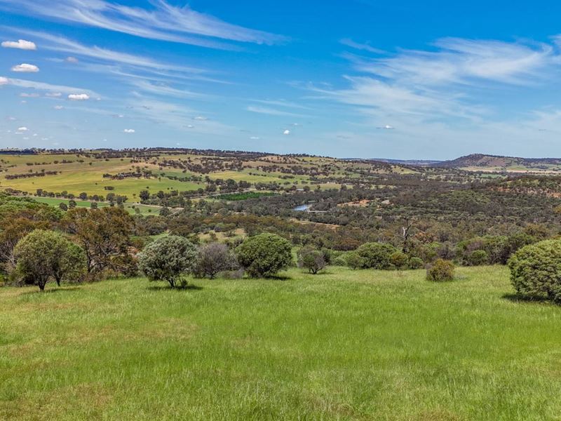 131 Nockdominie Road, Dumbarton WA 6566