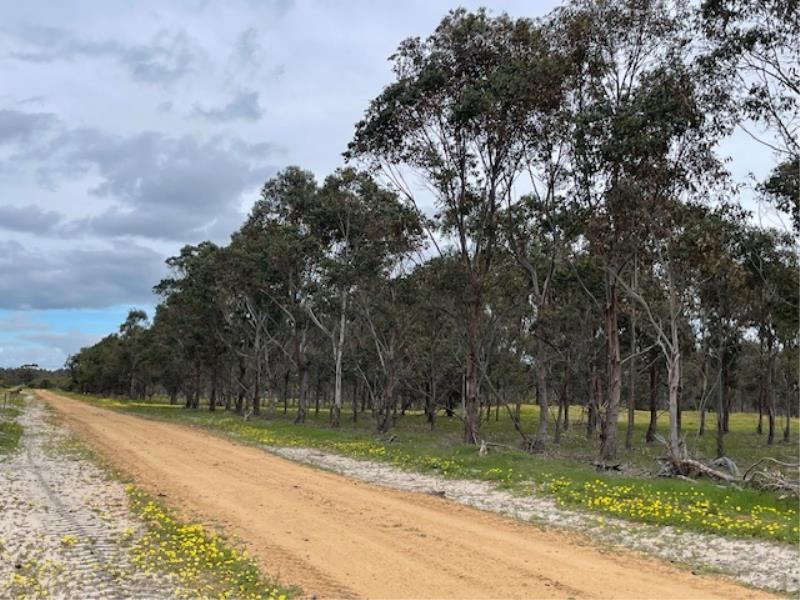 Martup Downs, Leggoe Road, Beaufort River