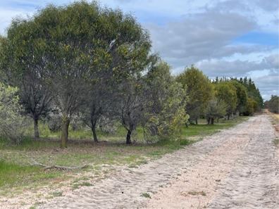 Martup Downs, Leggoe Road, Beaufort River WA 6394