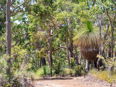 28 Big Rock Place, Quedjinup WA 6281