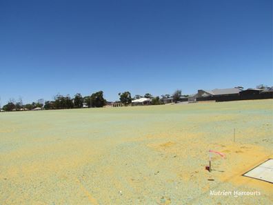. Lot 744 to Lot 752, Dalwallinu WA 6609