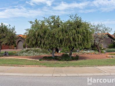1 Comet Street, Dudley Park WA 6210