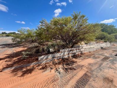 Lot 4 Manilinah Drive, Boodarie WA 6722