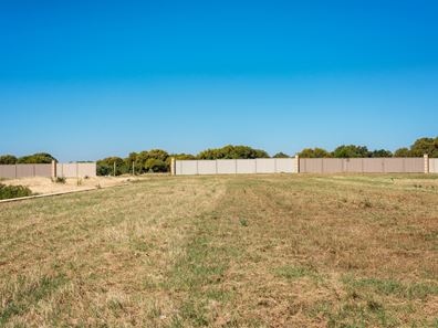 37 Eurithmic Link, Wandina WA 6530