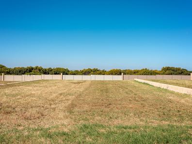 13 Eurithmic Link, Wandina WA 6530
