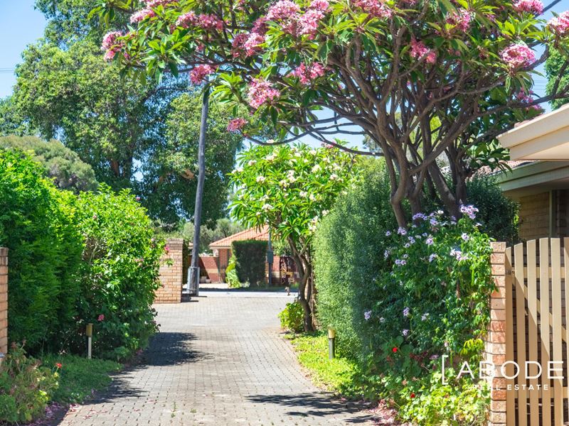 6/65 Wandarrie Avenue, Yokine WA 6060
