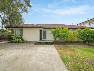19 Virgil Avenue, Yokine WA 6060