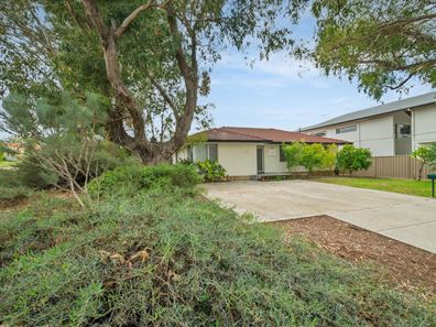 19 Virgil Avenue, Yokine WA 6060