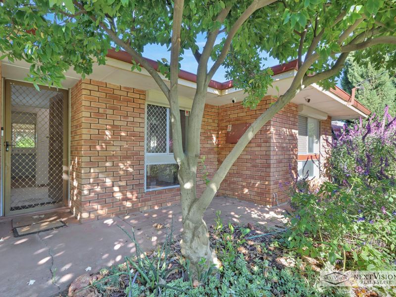 31 Kootingal Rd, Armadale