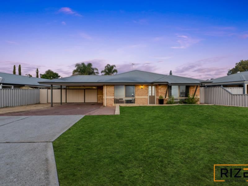 61 Celadon Loop, Banksia Grove WA 6031