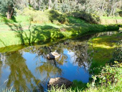 Lot 140 Vasse Highway, Nannup WA 6275