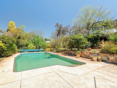 219 Ewen Street, Woodlands WA 6018
