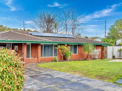 13 Pagneil Court, Hamilton Hill WA 6163