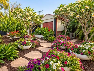 32 Kurrajong Loop, Derby WA 6728