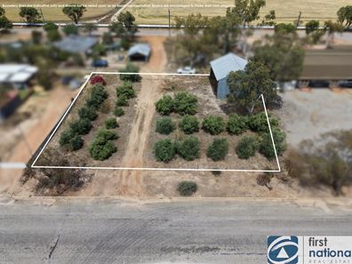 11 Kelly St, Meckering WA 6405
