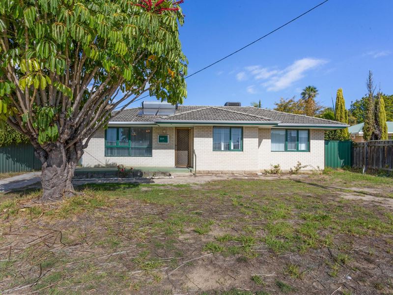 233 Leach Highway, Willagee