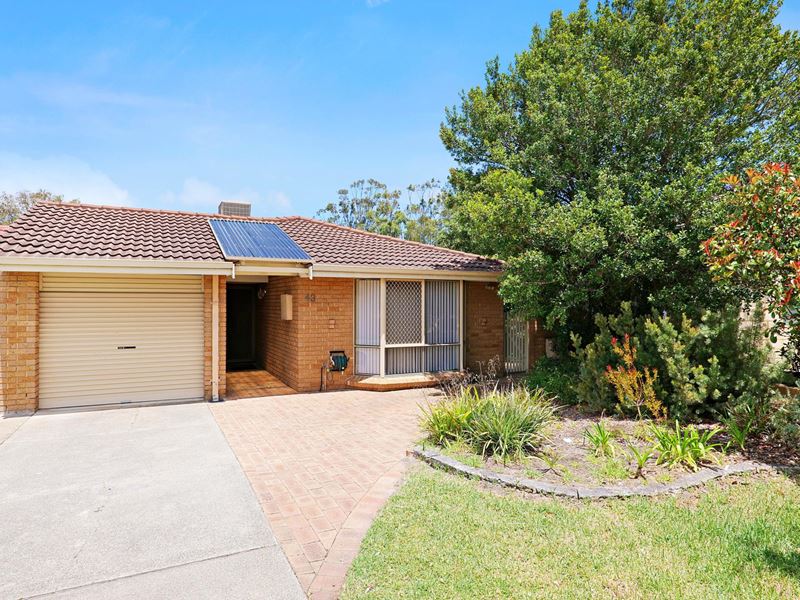 43B Elmwood Avenue, Woodlands