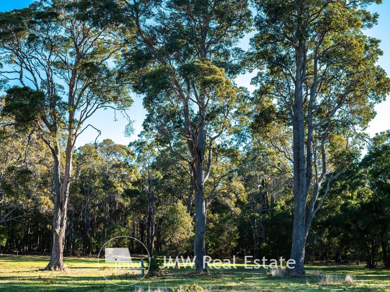 509 Witchcliffe Forest Estate, 22 Redgate Road, Witchcliffe