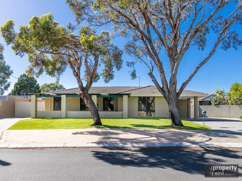 19 Britannia Way, Craigie WA 6025