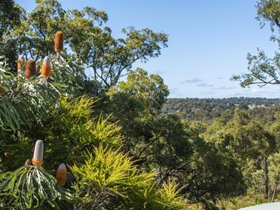 105 Ghost Gum Ridge, Chittering WA 6084