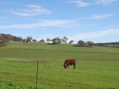 Bindoon-Moora Road, Mooliabeenee WA 6504