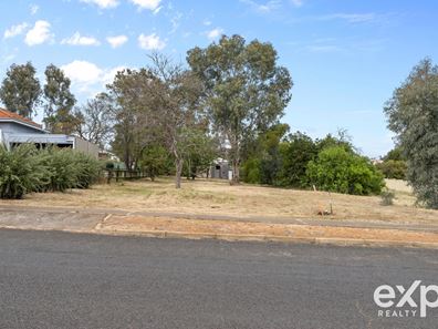 19 Cowley Street, Boyup Brook WA 6244