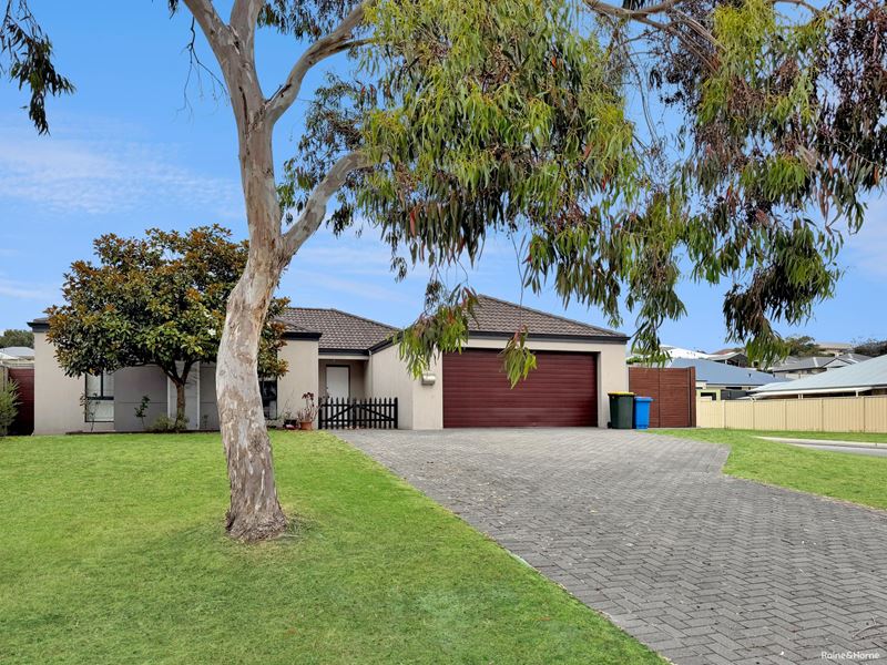 18 Paul Terry Drive, Bayonet Head