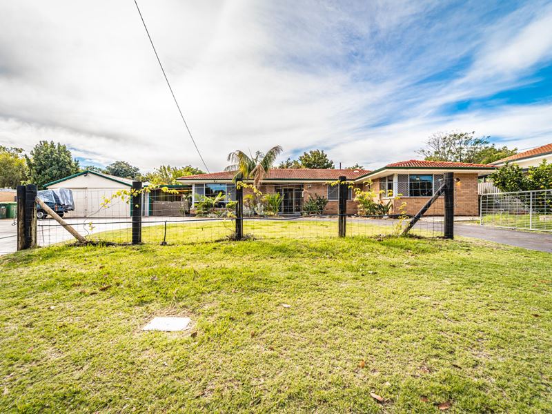 55 Christmas Avenue, Orelia