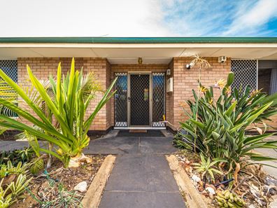 55 Christmas Avenue, Orelia WA 6167