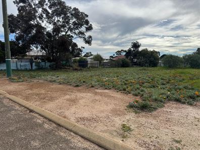50 Urban Street, Wagin WA 6315