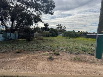 50 Urban Street, Wagin WA 6315