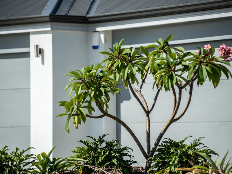 Lot 277 The Gardens Estate, Lakelands WA 6180