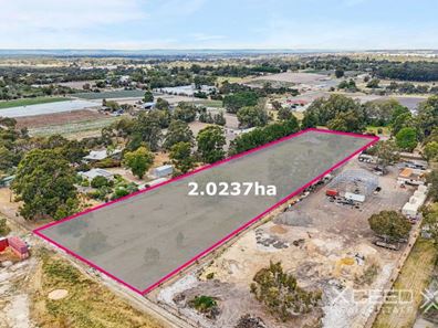 16 Jambanis Road, Wanneroo WA 6065