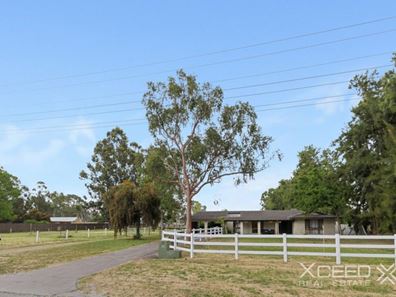 16 Jambanis Road, Wanneroo WA 6065