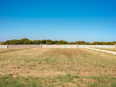15 Eurithmic Link, Wandina WA 6530